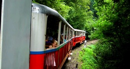 Ferrocarril de vía estrecha