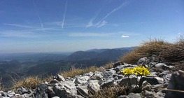 Zonas climáticas de montaña