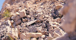 Come fanno le rocce a trasformarsi in suolo?