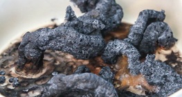 Bosque de culebras negras