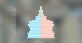 الهرم السكاني