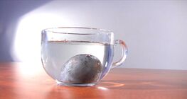 Egg mirror