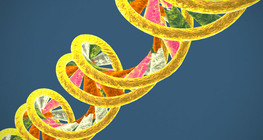 ADN