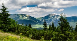Заповедник