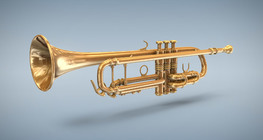 Trumpetti