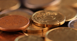 Euro