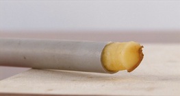 Potato gun