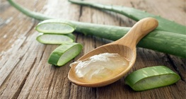 Aloe