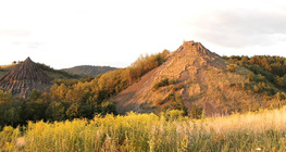Montón de desechos
