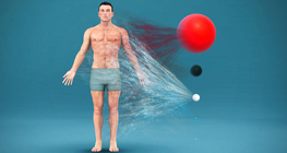 ¿De qué se compone el cuerpo humano?