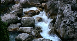 Круговорот воды