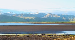 Tundra