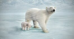 Oso polar