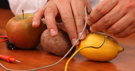 Pilas de fruta