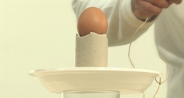 An egg in a glass