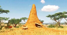 Termitero