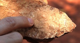 Rocas sedimentarias
