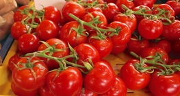 El color del tomate