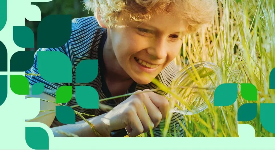 Ovalarda flora ve fauna