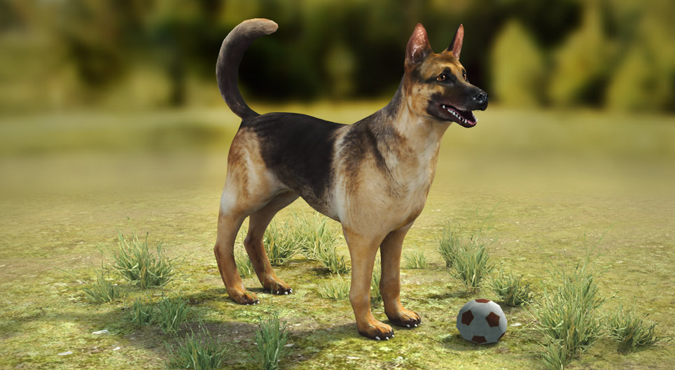Evcil Köpek 3B görüntü Mozaik Dijital Eğitim ve Öğrenme