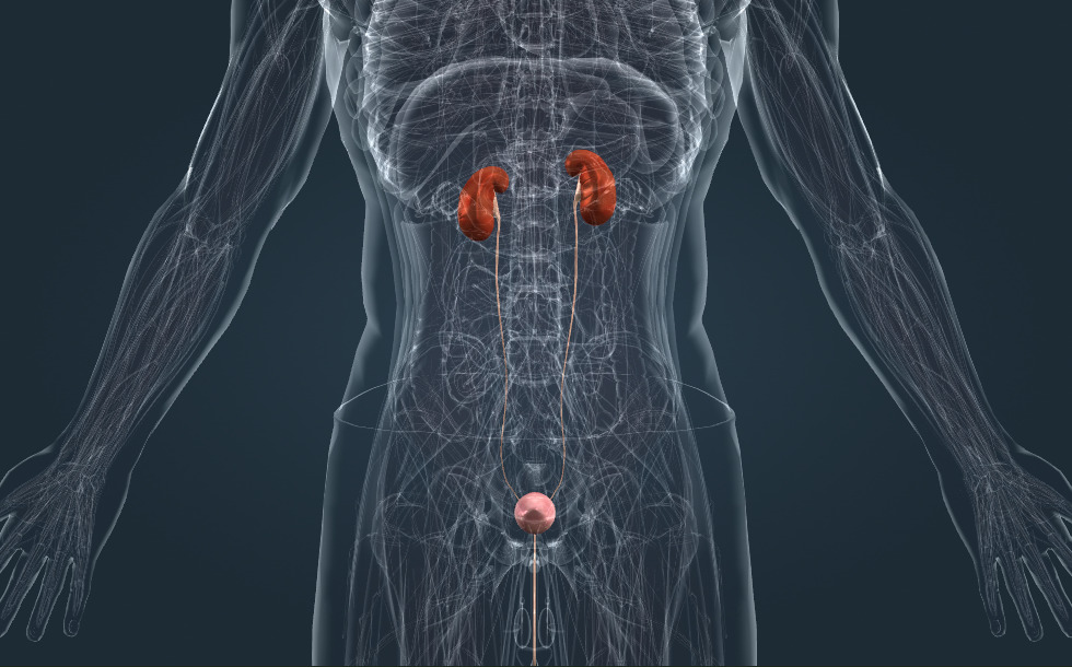 Jinsiy aloqa buvilar va onalar Orgazm olayotgan qizlarning fotosuratlari