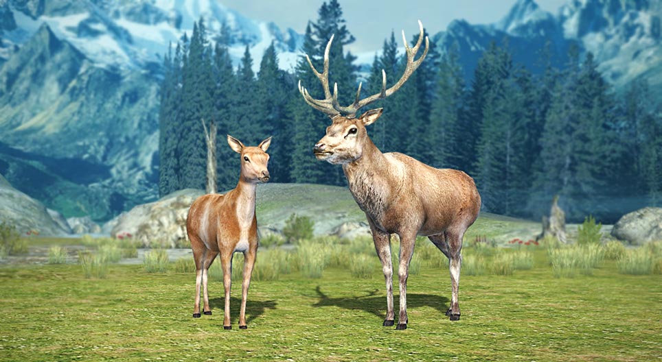 Red deer Cảnh 3D Giáo dục và học tập kỹ thuật số Mozaik