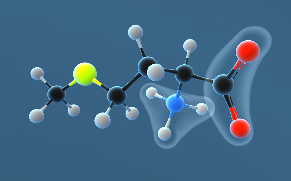 蛋氨酸 3d动画 Mozaik电子教育与学习 