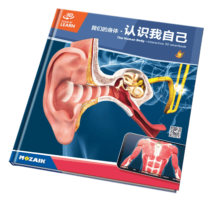 Book MS-6404-ZH