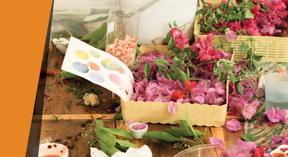 用植物作画